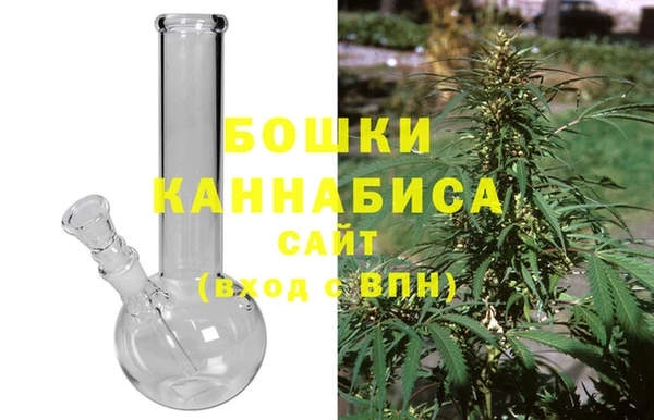 сатива Михайлов