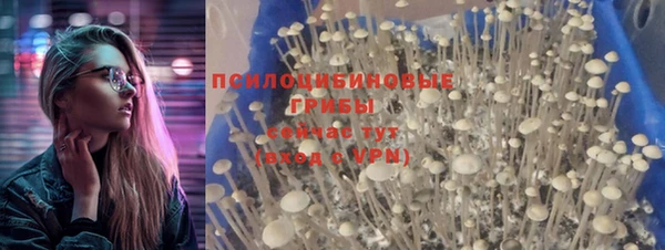 спайс Михайловск