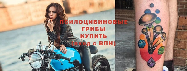 apvp Алзамай