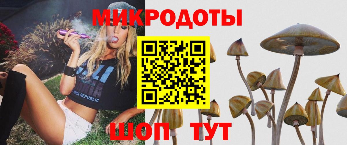 Псилоцибиновые грибы Magic Shrooms  Псилоцибиновые грибы GOLDEN TEACHER  что такое   Ачинск  Вход с VPN 