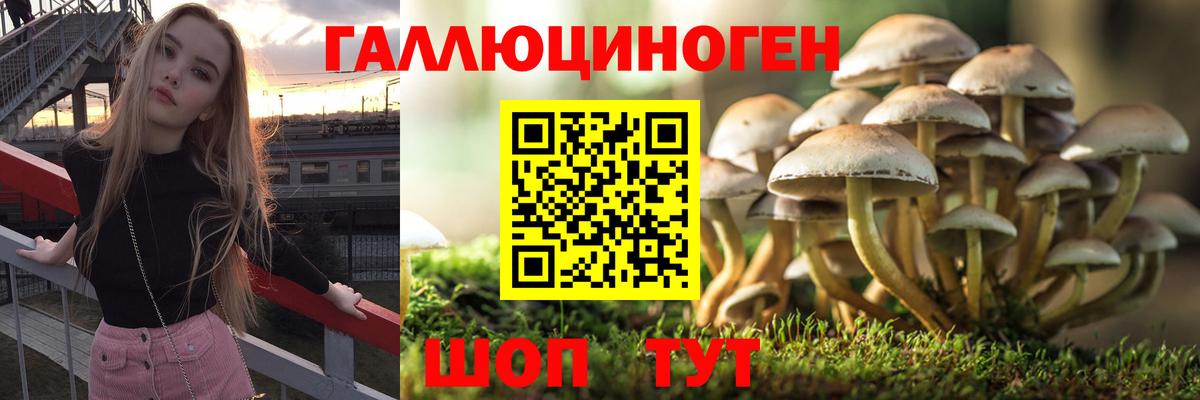 Галлюциногенные грибы MAGIC MUSHROOMS Ачинск