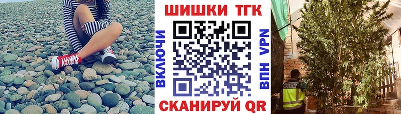 что такое   Ачинск  Бошки Шишки план 